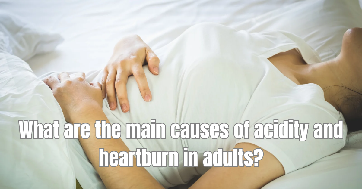 What are the main causes of acidity and heartburn in adults? What are the main causes of acidity and heartburn in adults?
