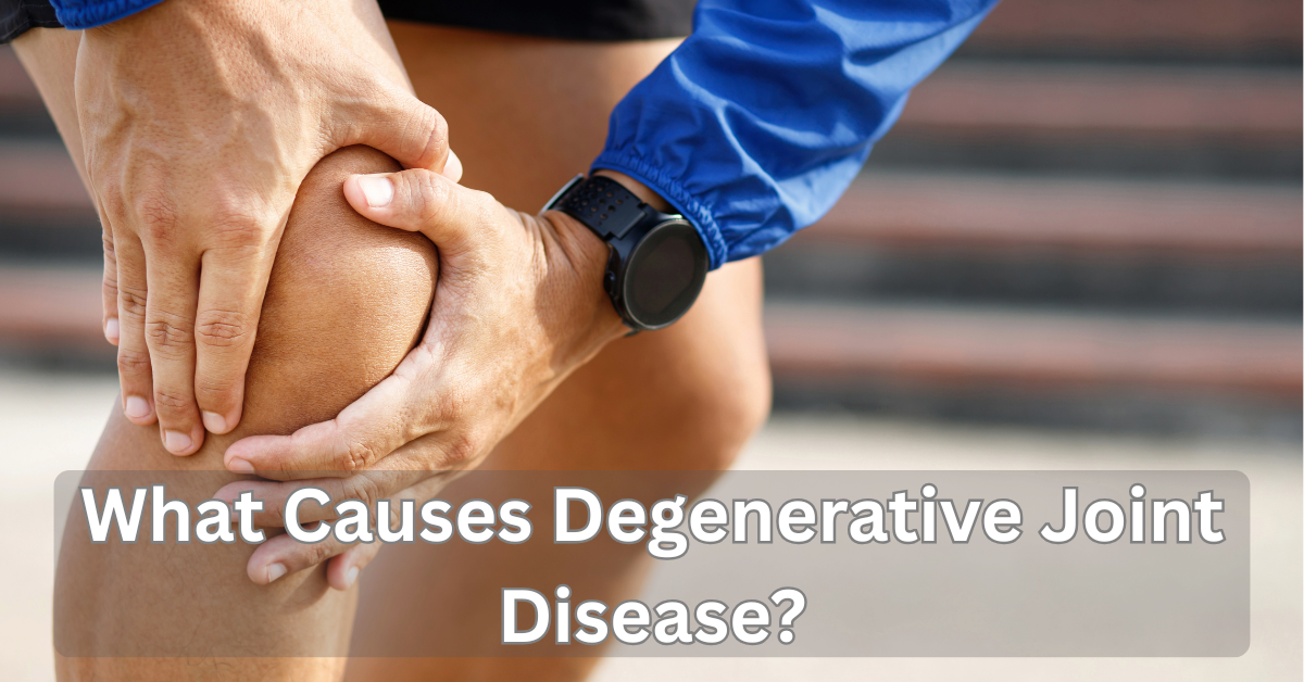 What Causes Degenerative Joint Disease? What Causes Degenerative Joint Disease?