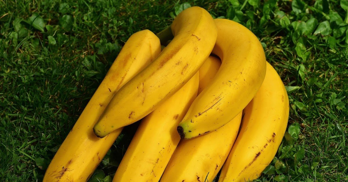 Start by Understanding 1 Banana Calories Start by Understanding 1 Banana Calories