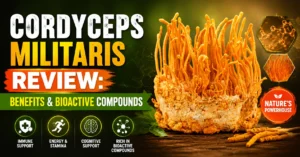 Cordyceps militaris Review: Benefits & Bioactive Compounds