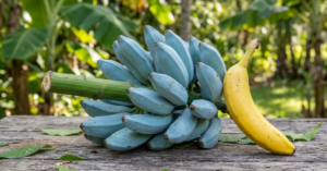 Blue Java Banana Benefits for Weight Loss: Hype or Help?